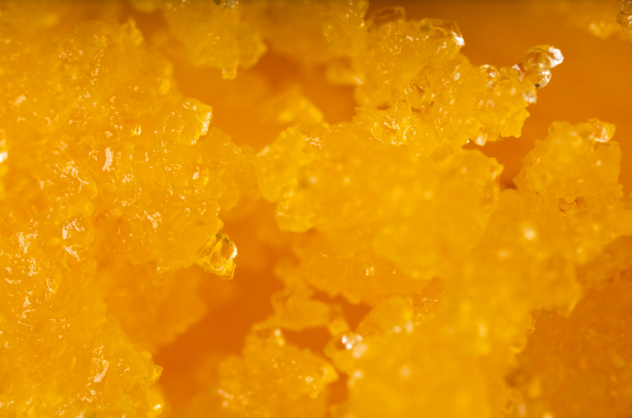 BODY POLISH luffa