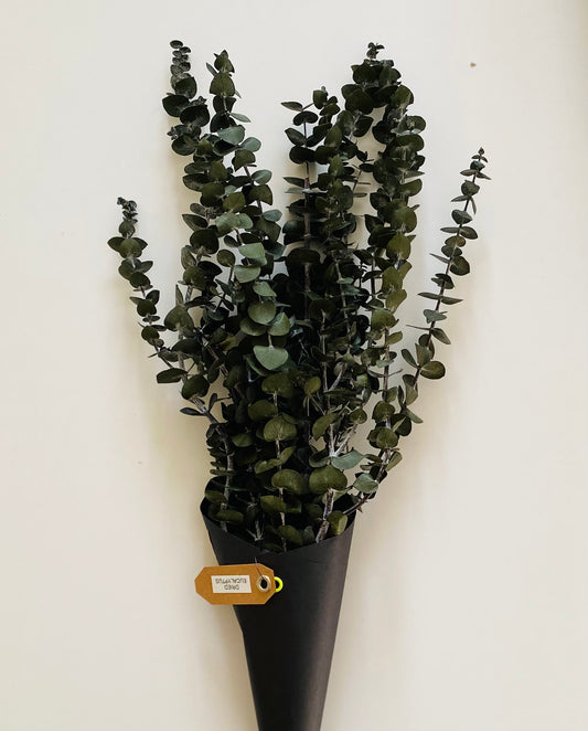 dried eucalyptus